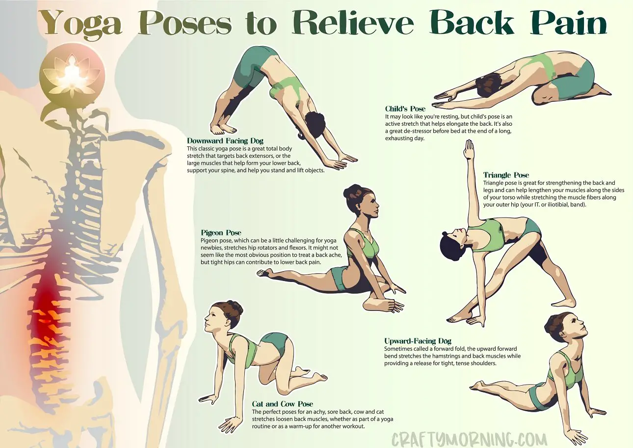 15 Easy Stretches to Release Lower Back and Hip Pain