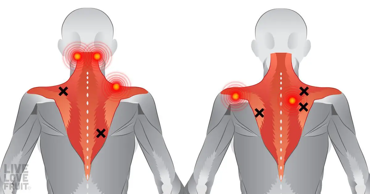 15 Stretches to Relieve Neck and Shoulder Pain