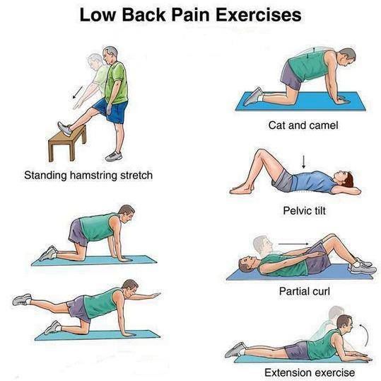 21 best images about Back Exercises For Pain on Pinterest