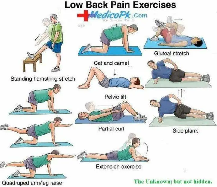 24 best images about Stretches To Relieve Lower Back Pain ...