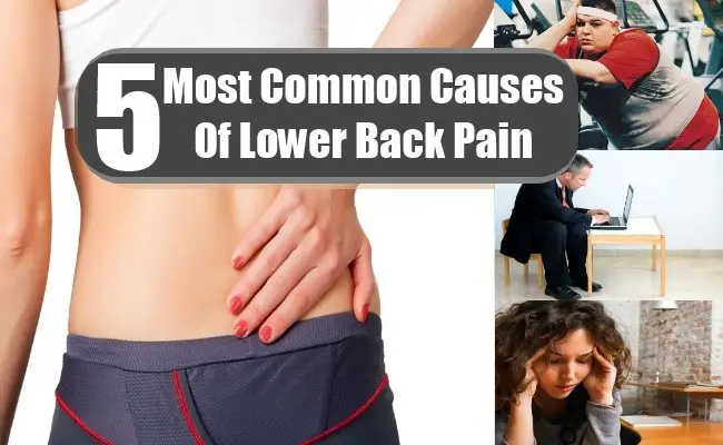 4 Most Common Causes Of Lower Back Pain