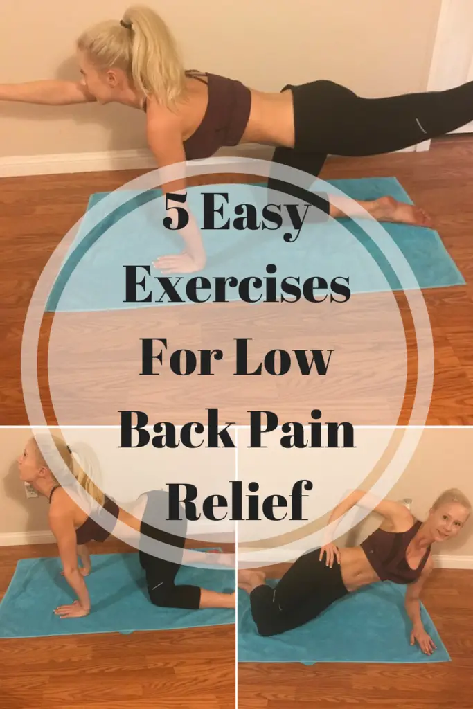 5 Easy Exercises For Low Back Pain Relief ...
