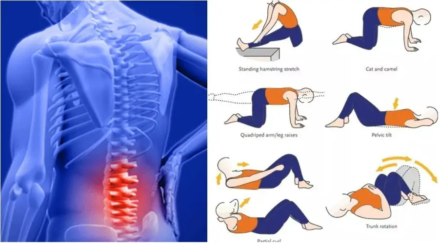 5 Lower Back Bodyweight Exercises To Ease Off Back Pain ...