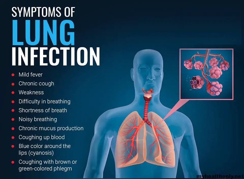 5 Signs and Symptoms of lung infection