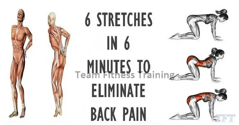 6 STRETCHES IN 6 MINUTES FOR COMPLETE LOWER BACK PAIN RELIEF ...