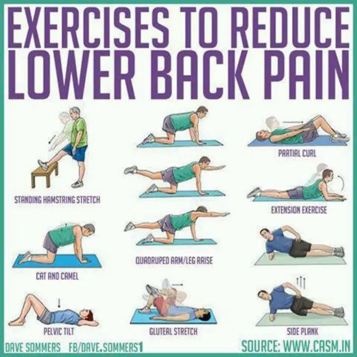 64 best Exercises for lower back spasm pain images on Pinterest ...