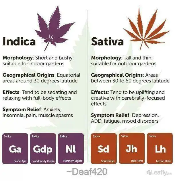 7 best images about Sativa vs. Indica chart on Pinterest