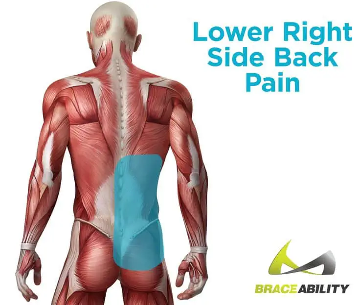 86 best images about Back Injuries &  Spine Disorders