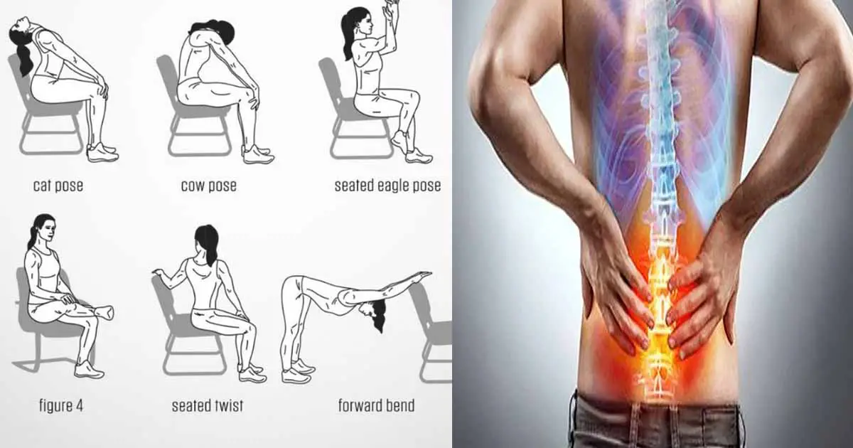 A new series of exercises to relieve you of your lower back pain ...