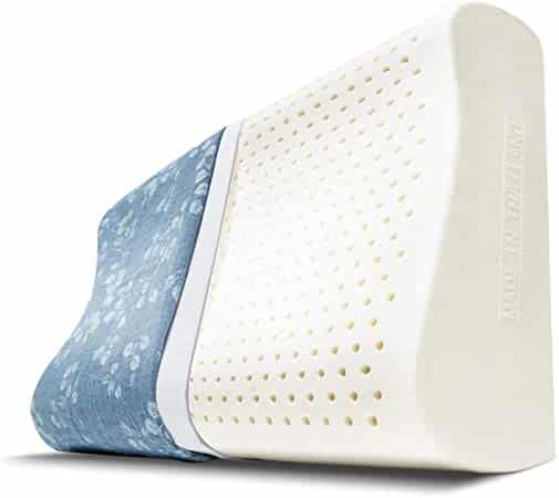 Amazon.com: Kannika Revolutionary Latex Pillow [Better for You Than ...