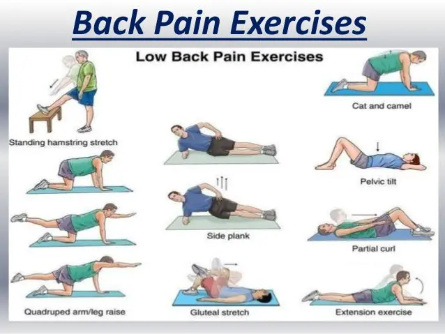 Ayurveda Treatment for Backpain