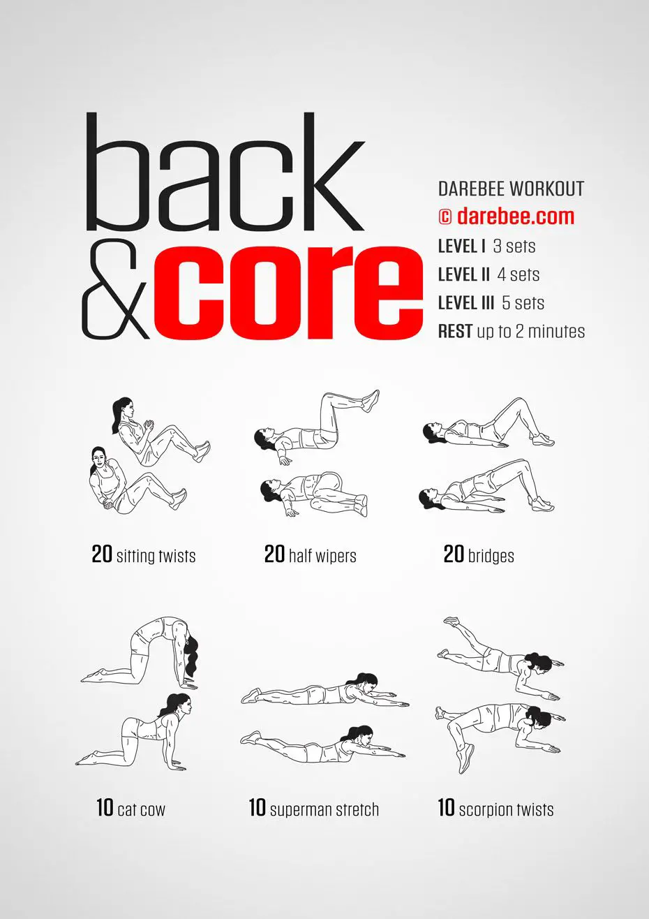 Back &  Core Workout