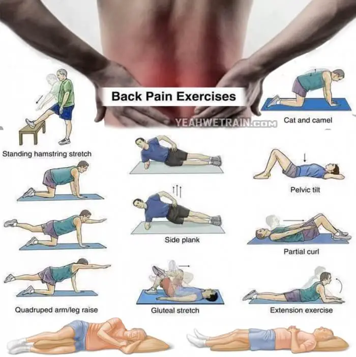 Back Exercises: Lower Back Exercises For Pain