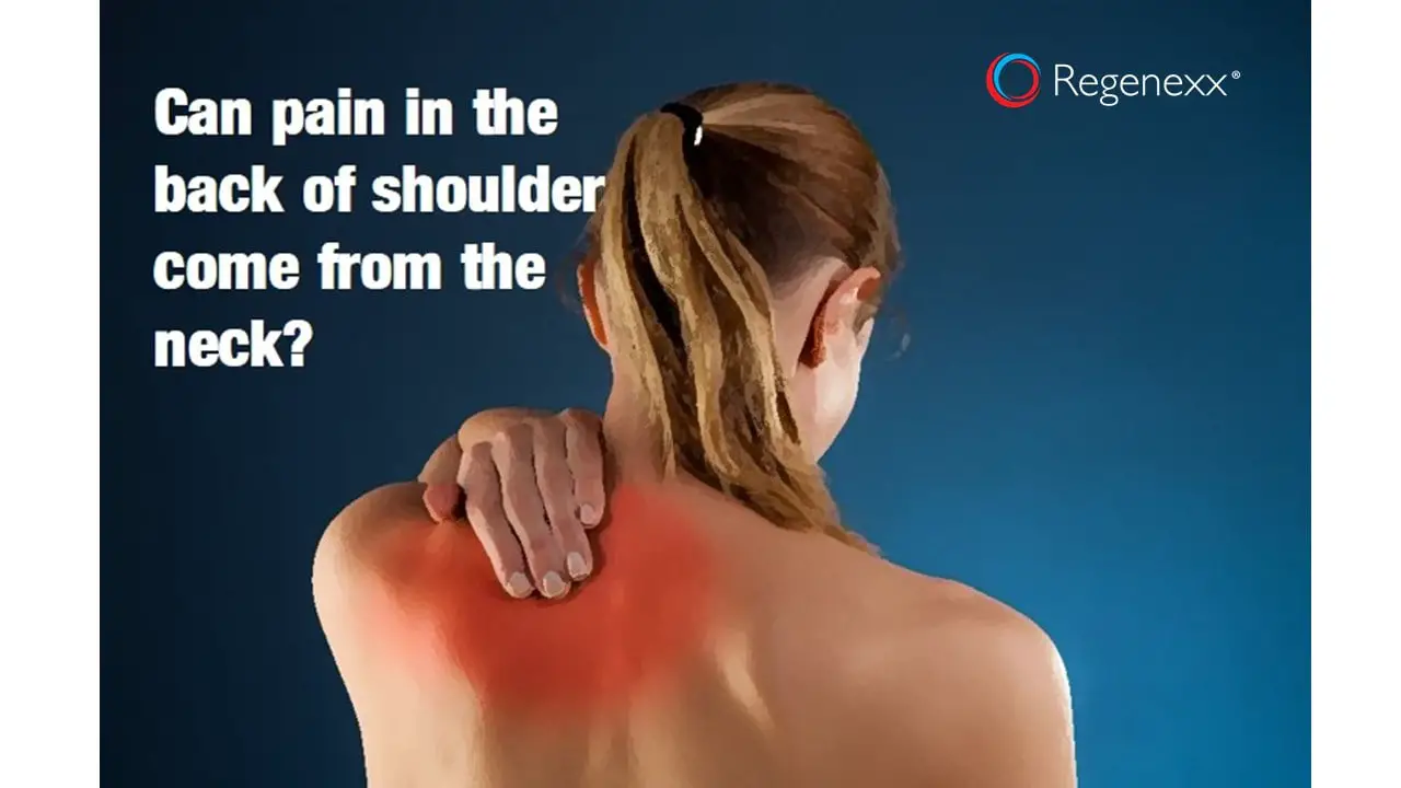 back of shoulder pain