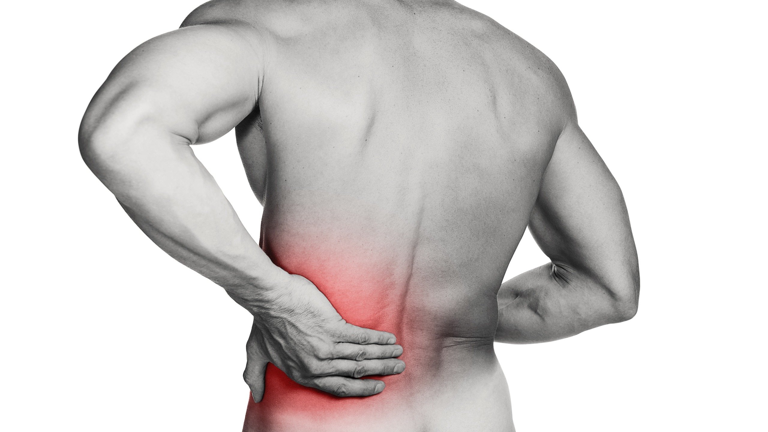 Back Pain â Optimum Spine Chiropractic Center