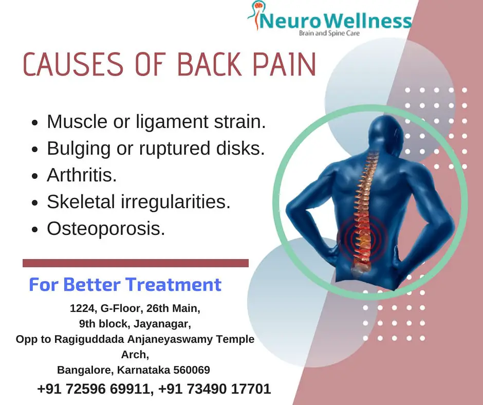 Back Pain Causes