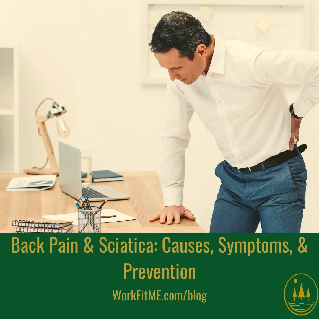 Back Pain &  Sciatica: Causes, Symptoms, &  Prevention â WorkFitME
