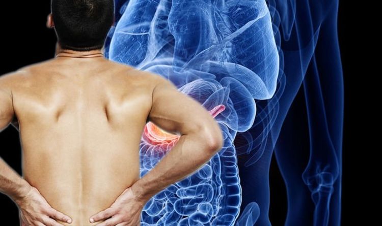 Back pain warning: It can be a sign of pancreatic cancer ...