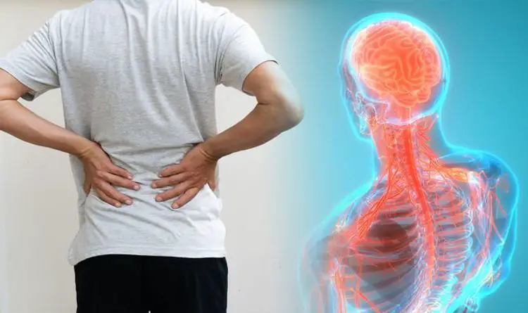 Back pain: When your back pain could be a sign of spinal ...