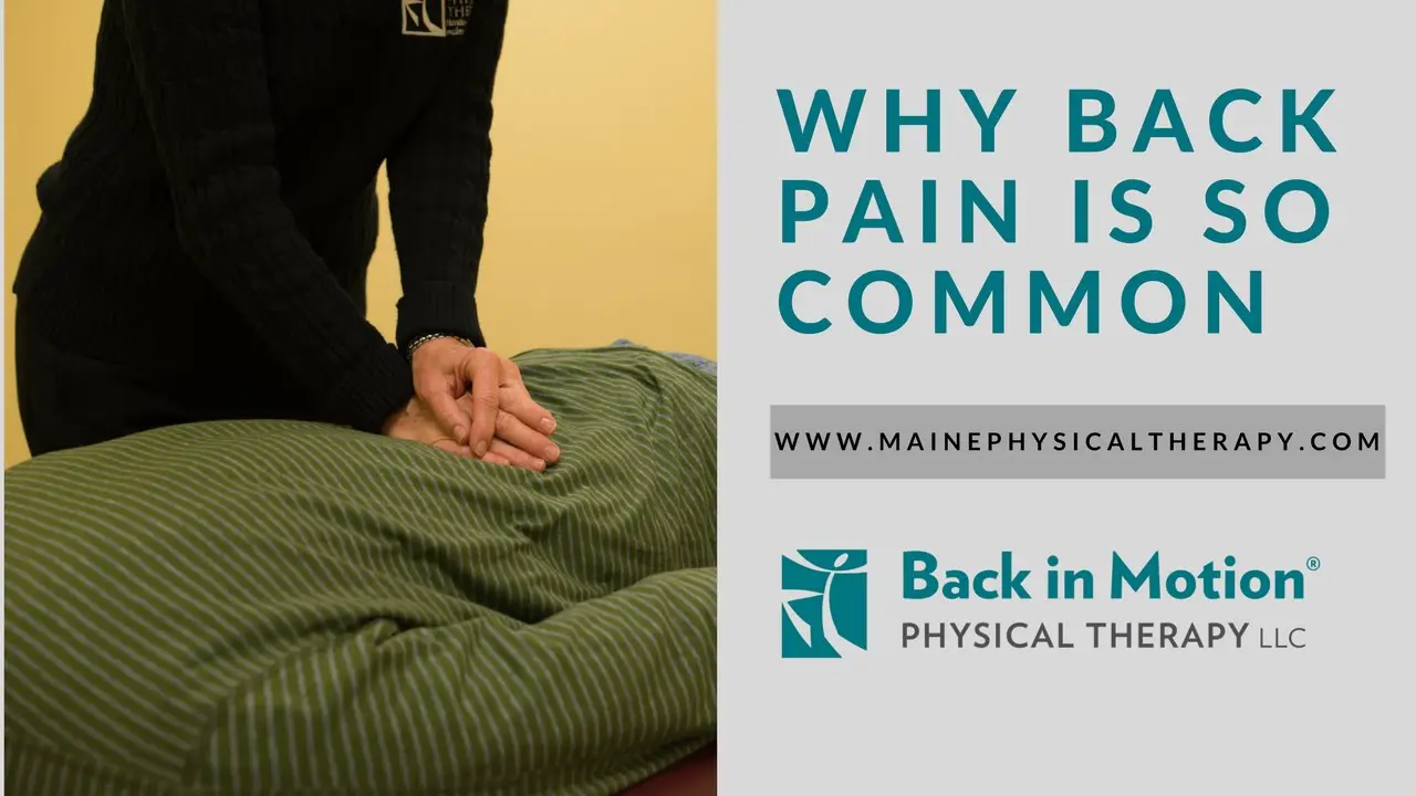 Back Pain: Why Is It So Common?