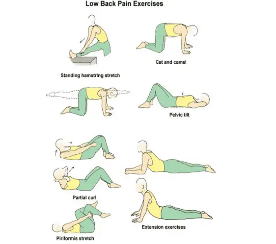 Back Strengthening Exercises: Lower Back Strengthening Exercises For ...