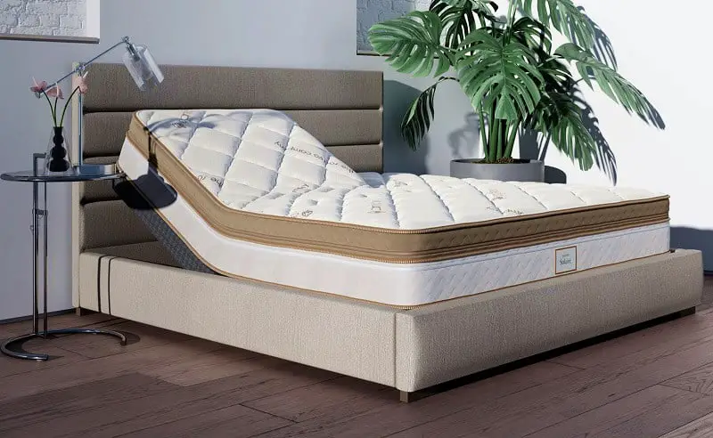 Best Adjustable Bed for Back Pain  The Ultimate List for ...