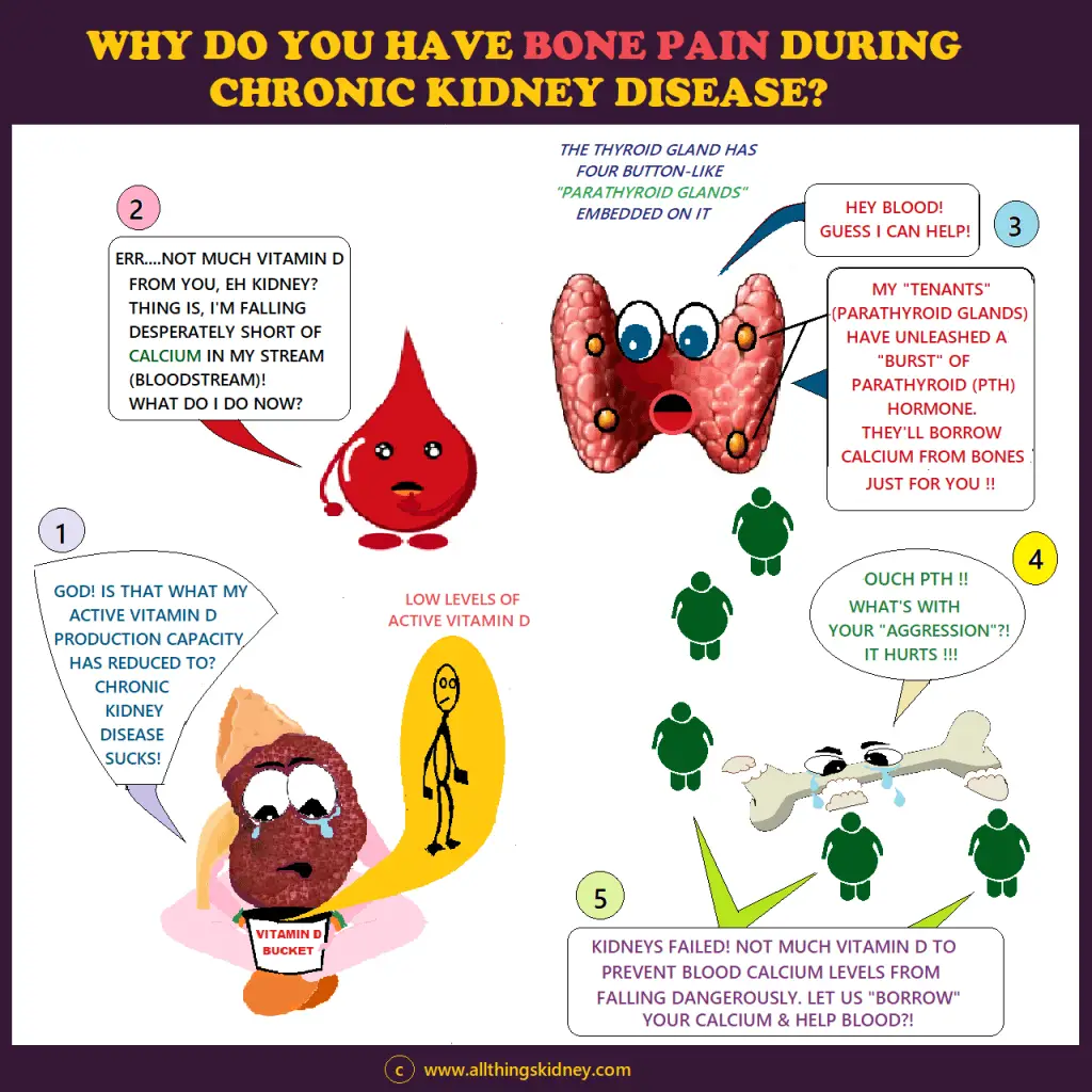 Bone Pain in Chronic Kidney Disease