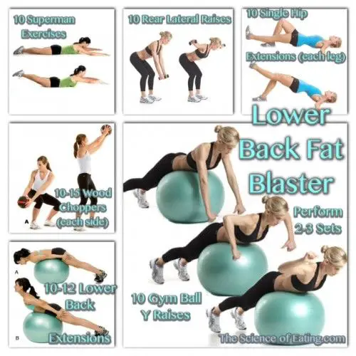 Booklet: Medicine Ball Exercises For Back Fat
