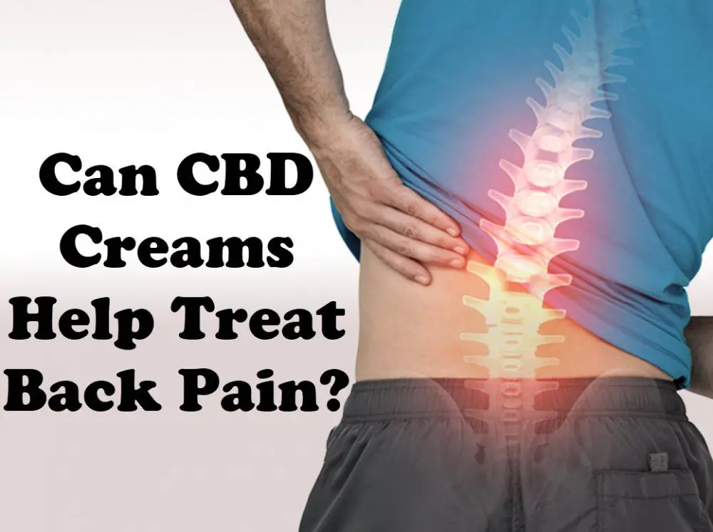 Can CBD Creams Help Treat Back Pain?
