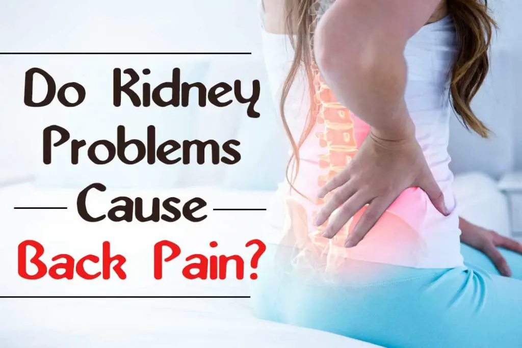 Can kidney problems cause back pain?