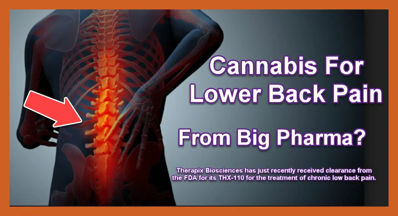 Cannabis For Lower Back Pain From Big Pharma