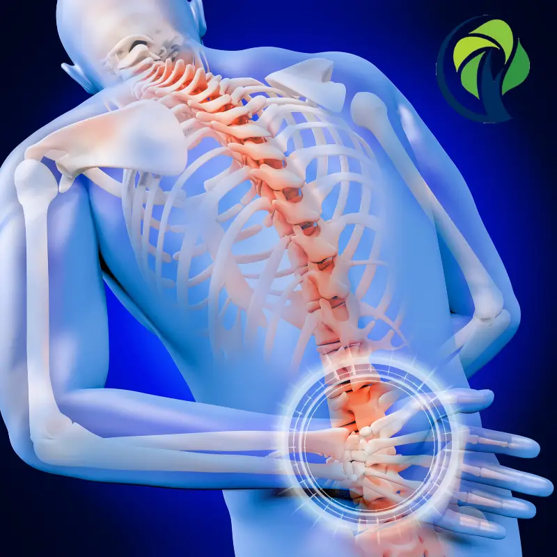 Causes and Treatment of Low Back Pain