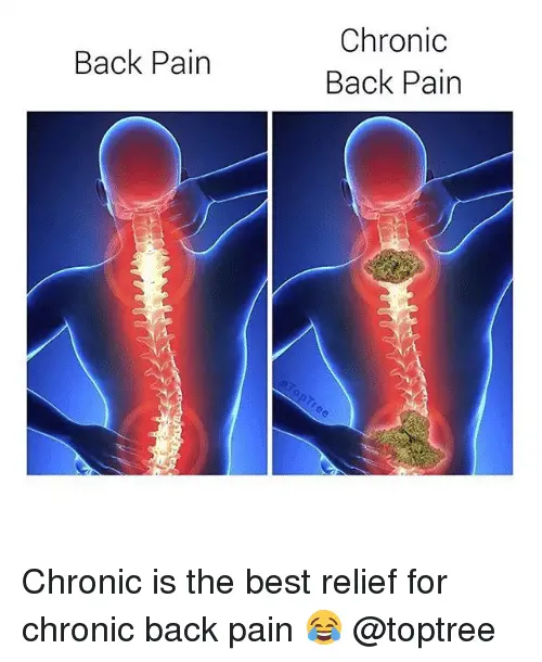 Chronic Back Pain Back Pairn Chronic Is the Best Relief for Chronic ...