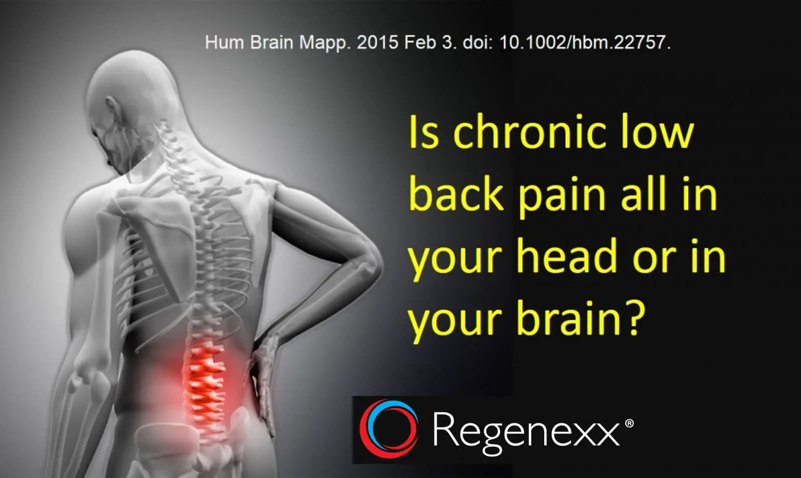 Chronic Low Back Pain is in Your Back and in Your Brain ...