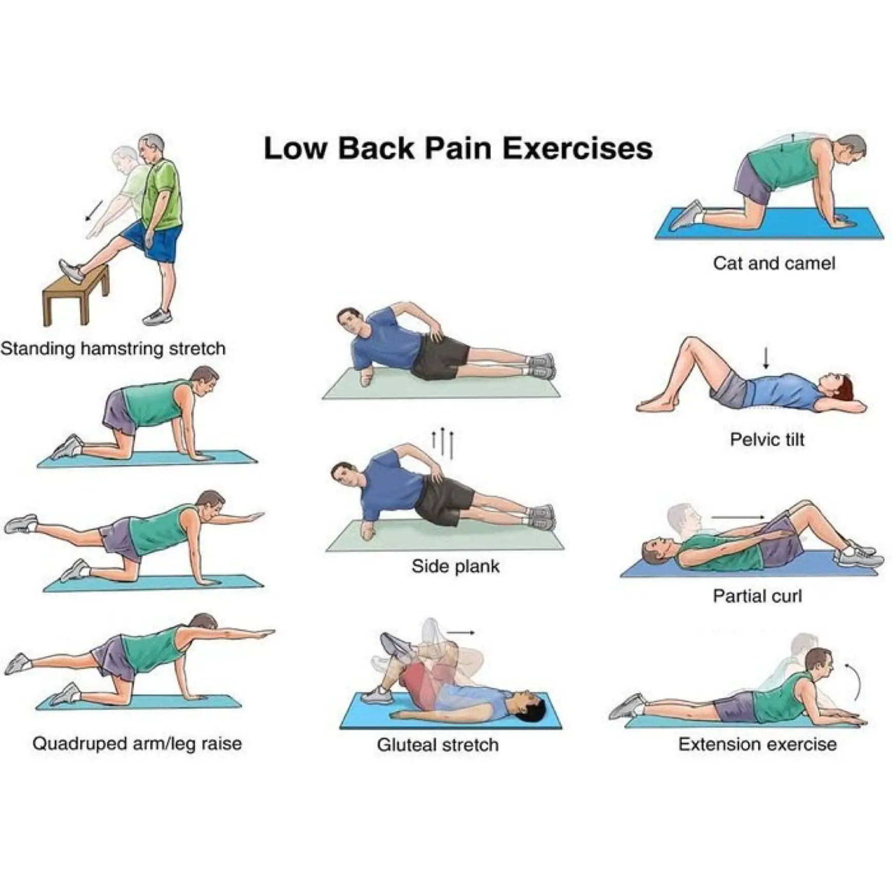 Core Exercises For Back Pain Sufferers
