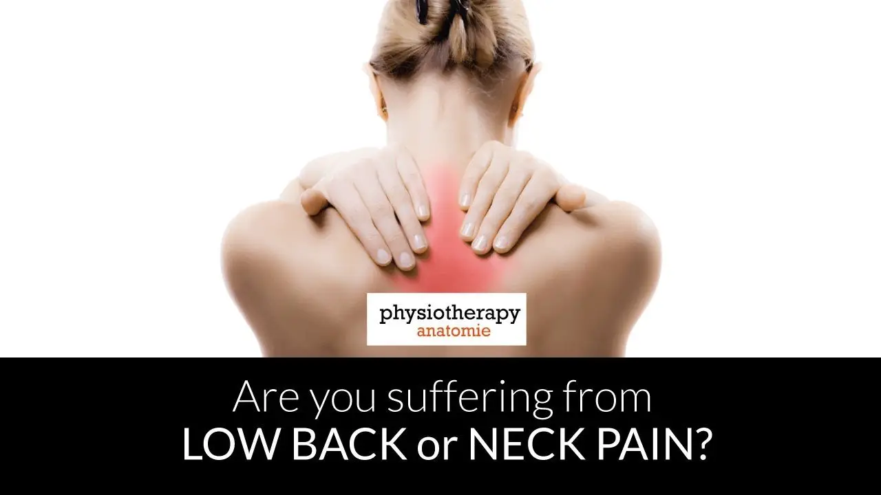 Do you have Low Back or Neck Pain?