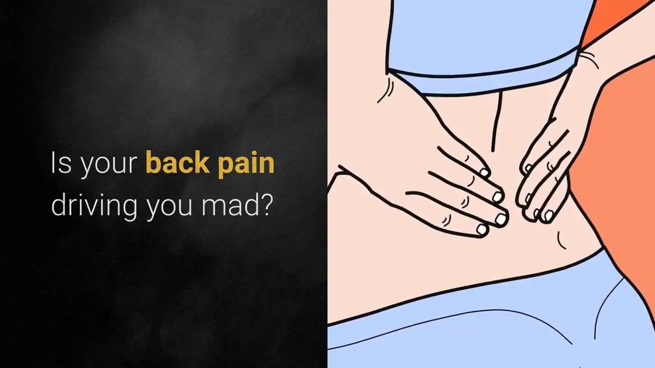 Erase My Back Pain Review