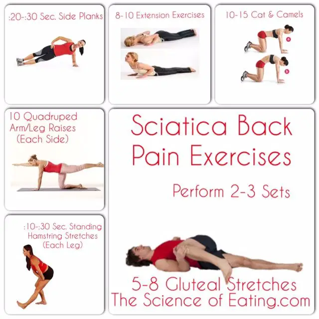 Exercise is usually better for relieving sciatic pain than bed rest ...