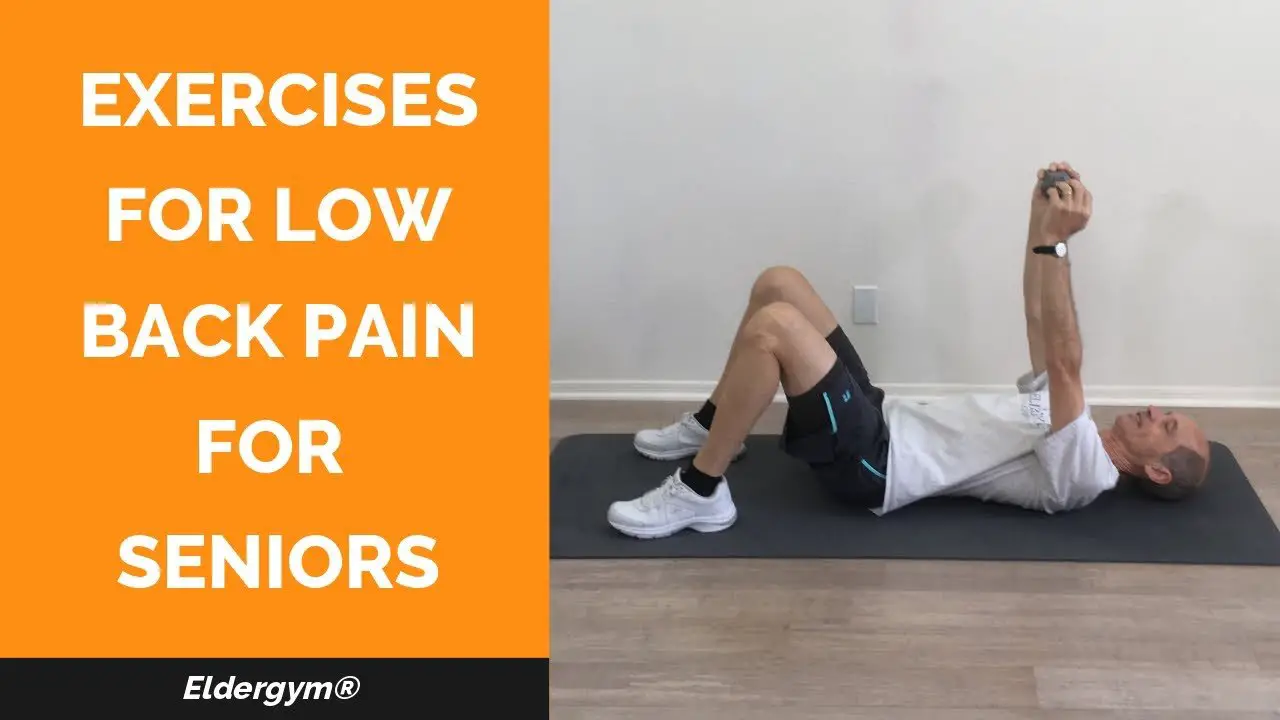 Exercises for low back pain for seniors, strength training ...