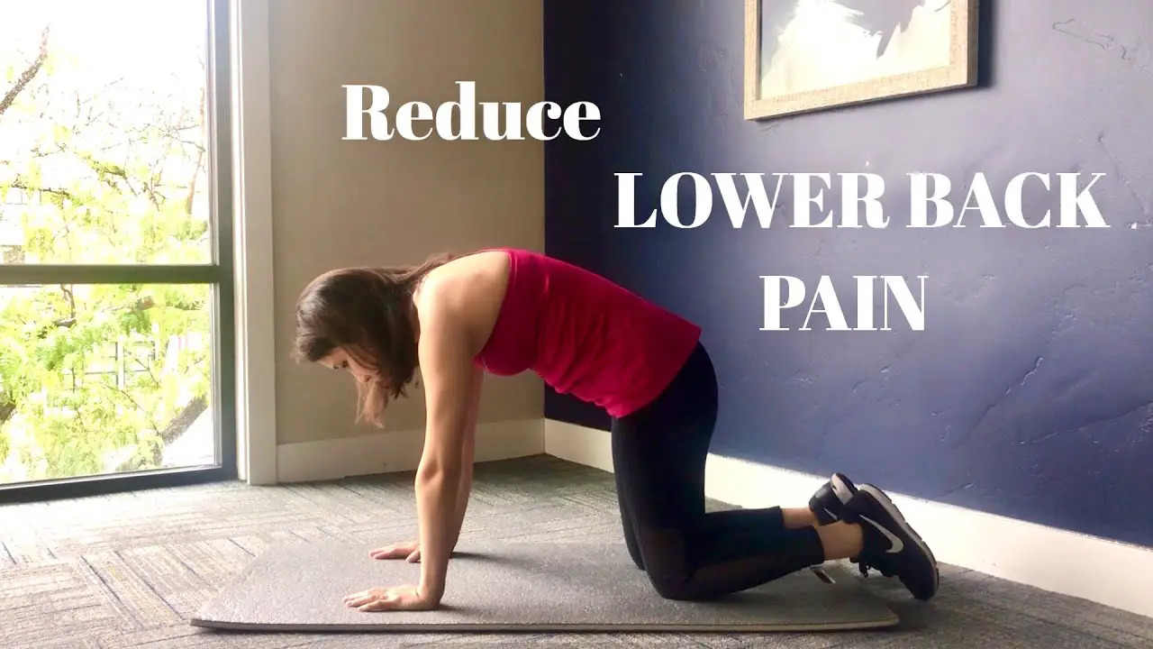 Exercises for Lower Back Pain during Pregnancy