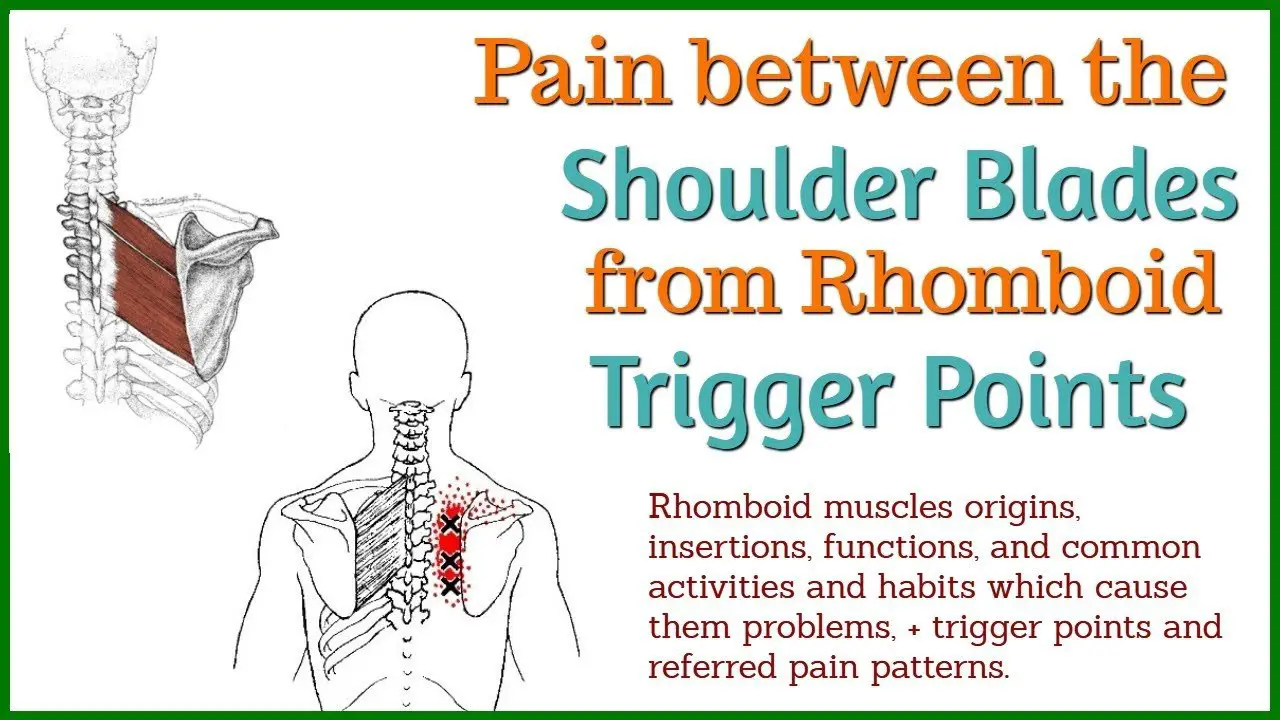 Experiencing Nagging Pain Between Your Shoulder Blades ...