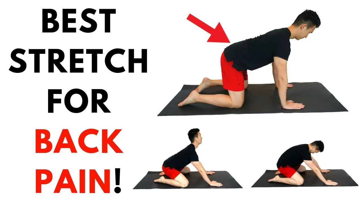 Five Best Back Pain Stretches For Back Pain Relief