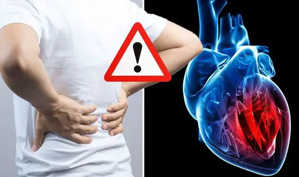 Heart attack symptoms: Signs include back pain