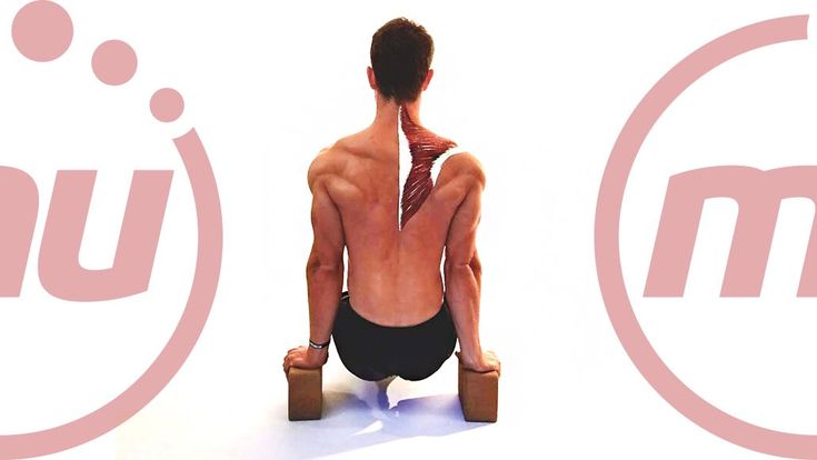 Here is How to Fix Your Back Muscle Spasms