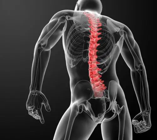 How Somatics can help with Scoliosis &  Back Pain