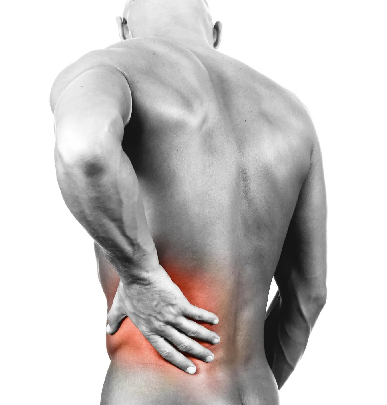 How to fix low back pain  transformbst.com