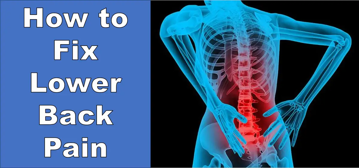 How to Fix Lower Back Pain â Physiotherapy Tool