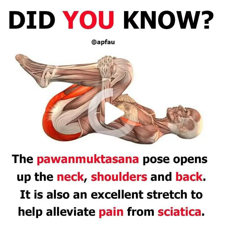 How To Relieve Lower Back And Buttock Pain