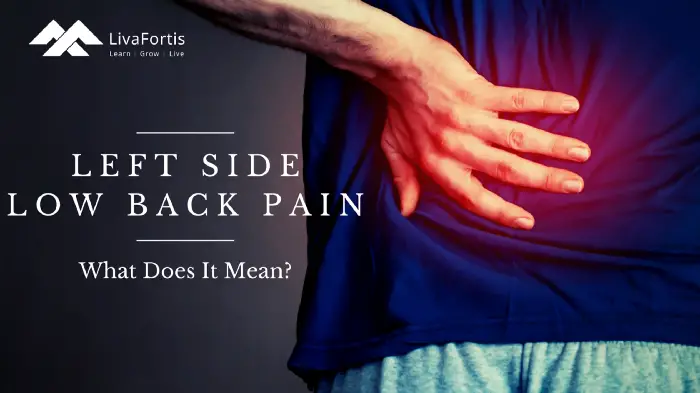 Left Side Low Back Pain  What Does It Mean?