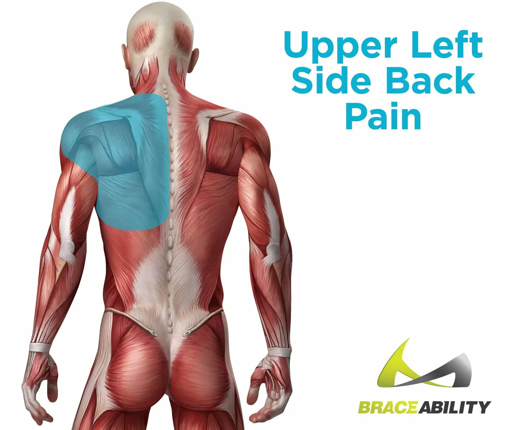 Left Side Lower and Upper Quadrant Back Pain